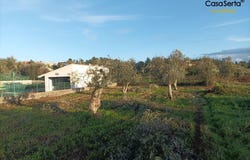 Cabeçudo, Sertã, Castelo Branco District 6100