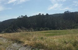 Braga, Braga