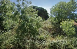Almargem do Bispo, Lisbon