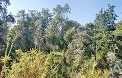 Leiria, Leiria District