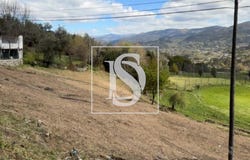 Oriz (santa Marinha) e Oriz (são Miguel), Braga