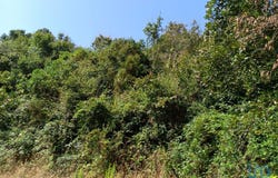 Leiria, Leiria District
