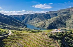 Almendra, GUARDA