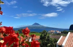 Rua Alberto Avila de Vargas, 28 Rua Alberto Avila de Vargas, B, Praia do Almoxarife, Faial 9900-451
