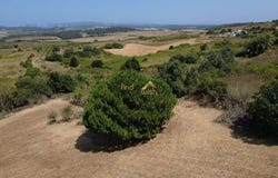 Óbidos, Leiria