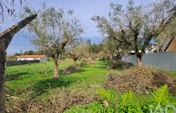 Coimbra, Coimbra District