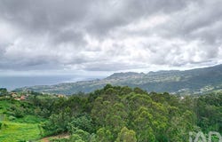 Ilha da Madeira, Madeira