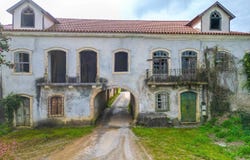 Mortágua, Viseu District