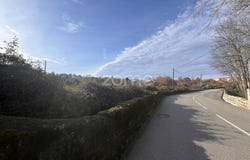 Viseu, Viseu District