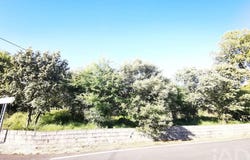 Santarém, Santarém District