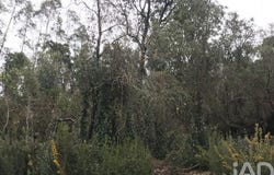 Leiria, Leiria District