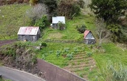 Ilha da Madeira, Madeira