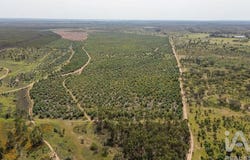 Bemposta, Santarém 2205