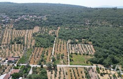 Leiria, Leiria District