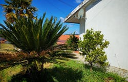 Sertã, Castelo Branco 6100