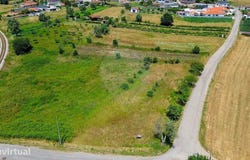 Valongo Do Vouga, Aveiro District