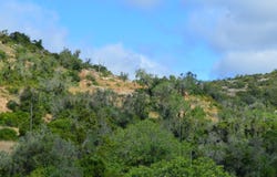 São Sebastião, Algarve