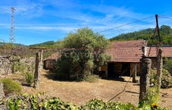 Nespereira, Braga