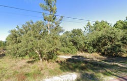 Salvaterra de Magos, Santarém District 2120-221