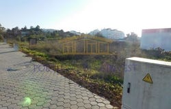 Lagoa, Faro