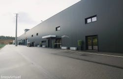 Raiva, Aveiro District