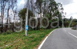 Sever do Vouga, Aveiro District