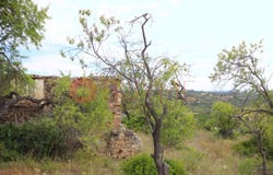 São Sebastião, Algarve