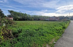 Oliveira do Bairro, Aveiro District