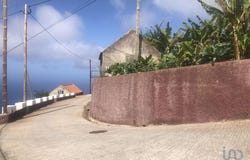 Canhas, Madeira 9360