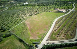 Beja, Beja District 7860-001