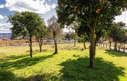 Vila Verde, Braga