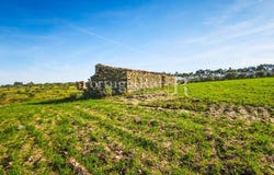 Rosmaninhal, Castelo Branco 6060