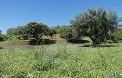 Tomar, Santarém 2300-570