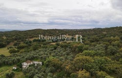 Borba (Matriz), Évora 7150