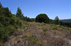 Vale do Barreiro, Alhandra, Lisbon 2615-631