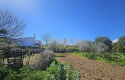 Borba (Matriz), Évora District