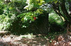 Boa Aldeia, Viseu District