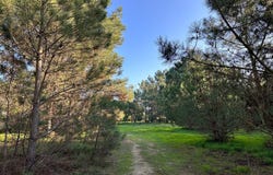 Sesimbra (Castelo), Setubal