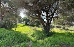 Boliqueime, Algarve