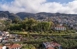 Ilha da Madeira, Madeira
