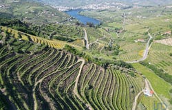 Viseu, Viseu District