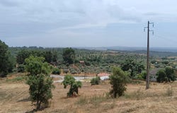 Salgueiro do Campo, Castelo Branco District