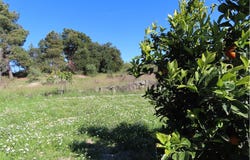 Penamacor, Castelo Branco District 6090