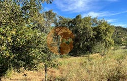Salir, Algarve