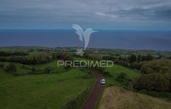 Cedros, Horta, Azores 9900