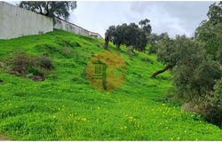 Tavira, Faro 8800-166