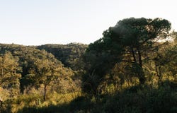 Setúbal, Setubal 7540-555