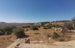 Mexilhoeira Grande, Algarve 8500