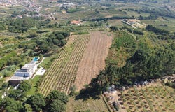 Roliça, Leiria District