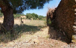 Portalegre, Portalegre District